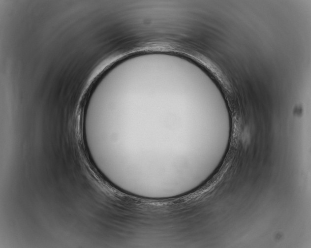 X0000100861078200806200832