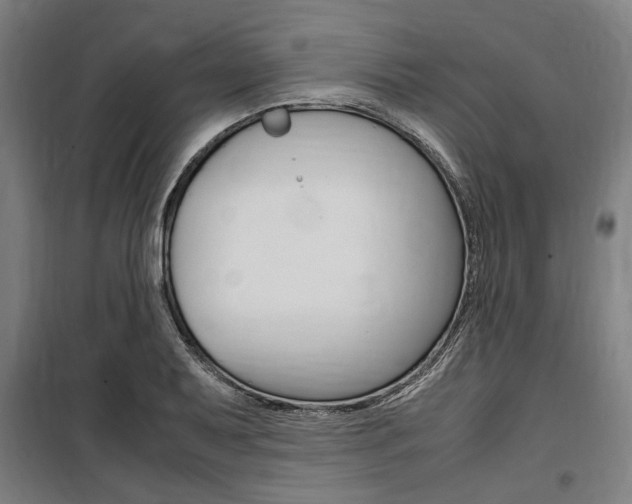 X0000100861079200806200832
