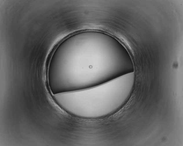 X0000100861080200806200832