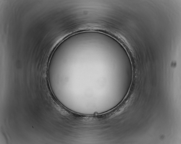 X0000100861081200806200832
