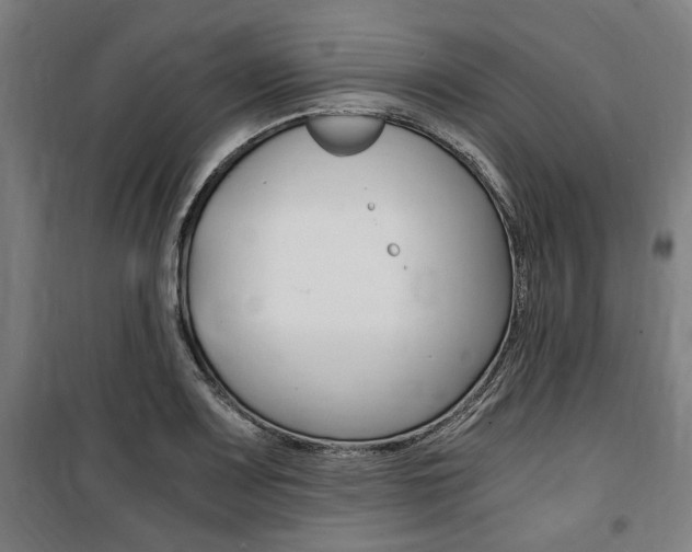 X0000100861083200806200832