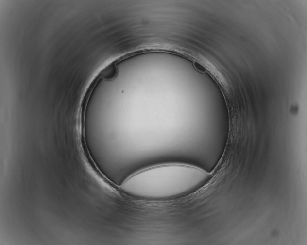 X0000100861084200806200832