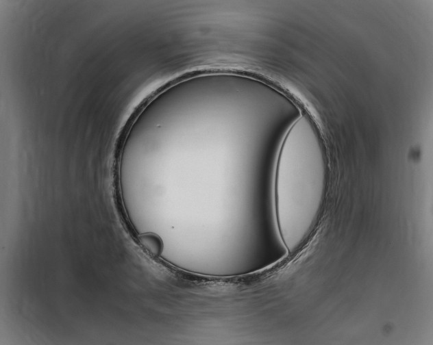 X0000100861085200806200832