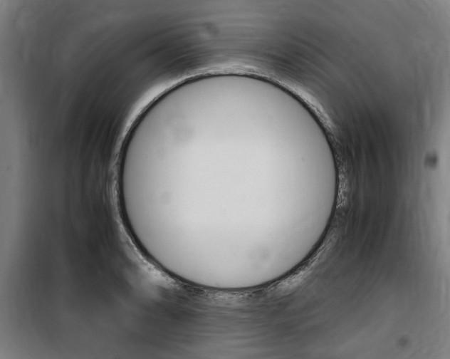 X0000100861086200806200832