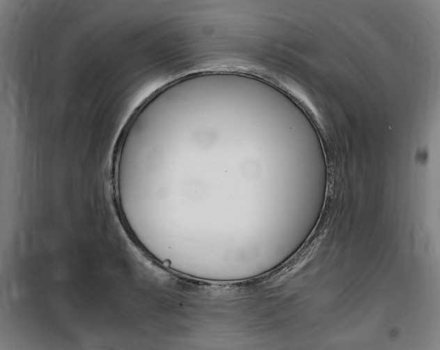 X0000100861087200806200832