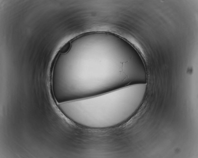 X0000100861088200806200832