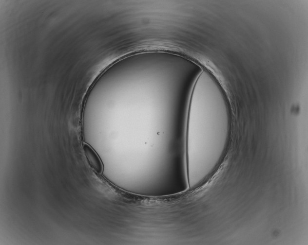 X0000100861089200806200832