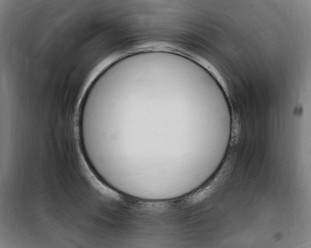X0000100861090200806200832