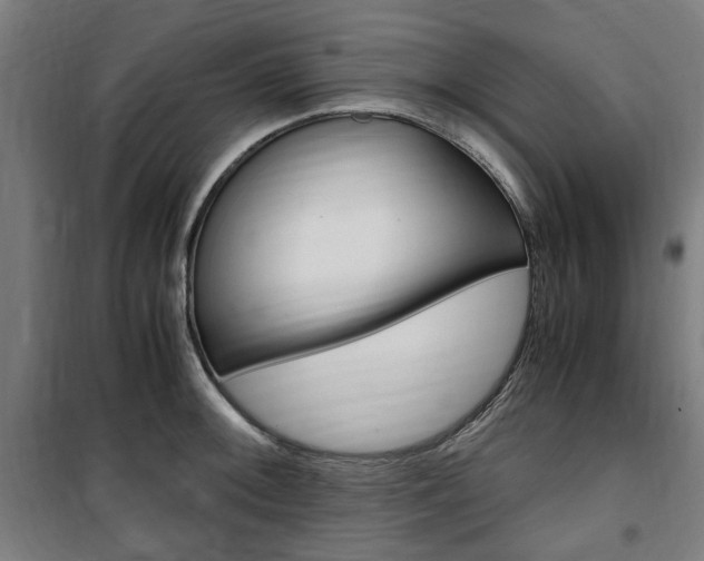X0000100861092200806200832