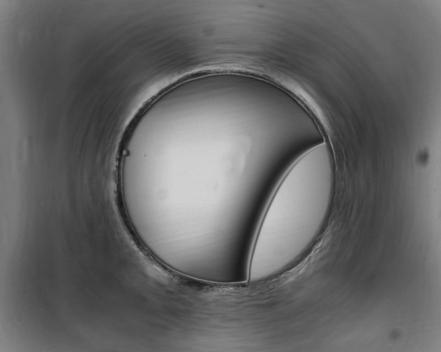 X0000100861093200806200832