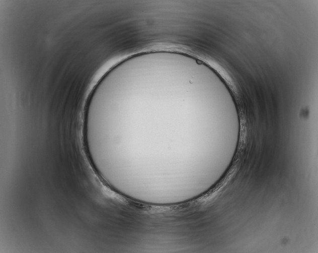 X0000100861094200806200832