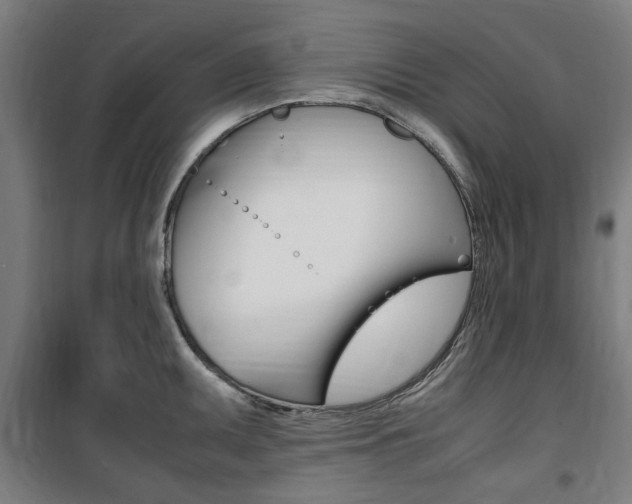 X0000100861095200806200832