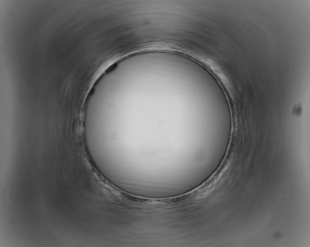 X0000100861097200806200832
