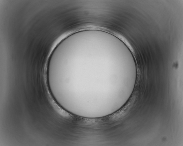 X0000100861098200806200832