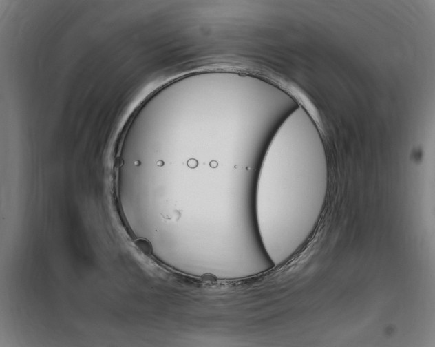 X0000100861099200806200832
