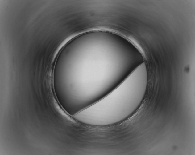 X0000100861100200806200832