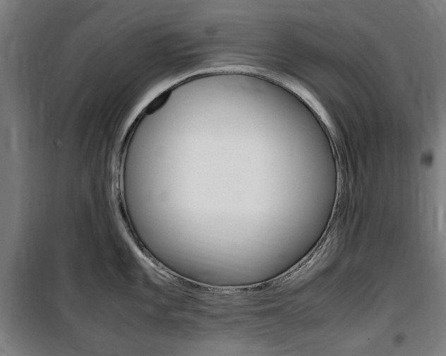 X0000100861101200806200832