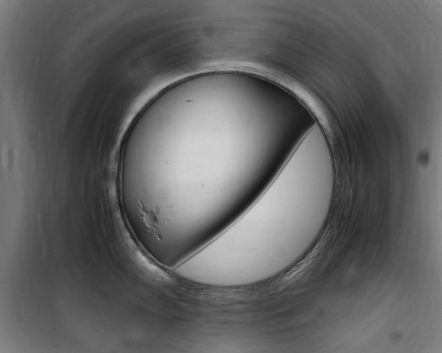 X0000100861102200806200832