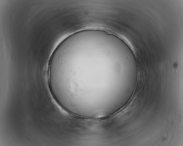 X0000100861103200806200832