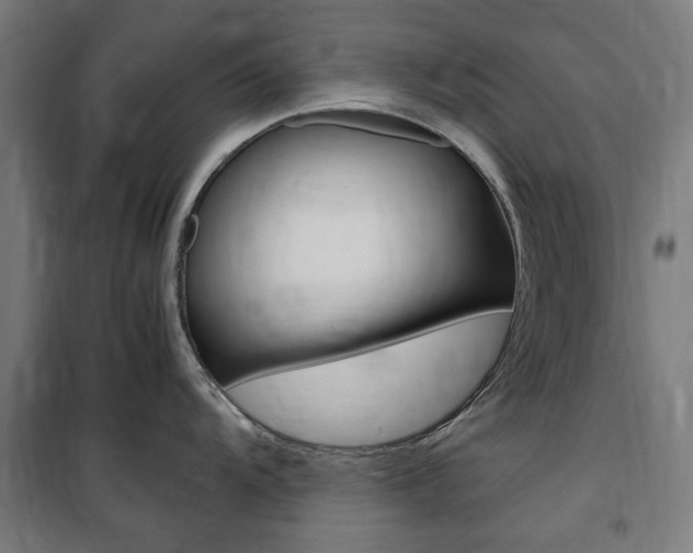 X0000100861104200806200832