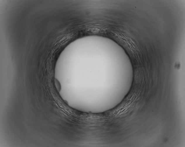 X0000100861105200806200831