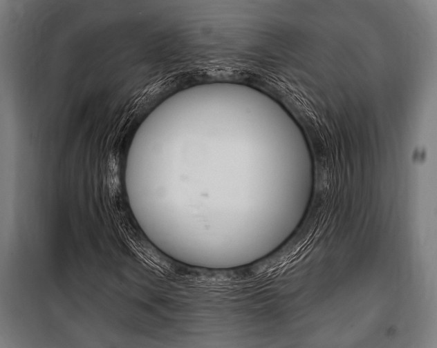 X0000100861106200806200831