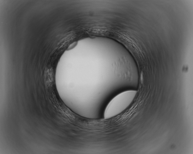 X0000100861107200806200831