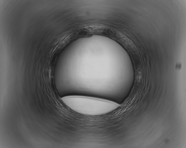X0000100861108200806200831