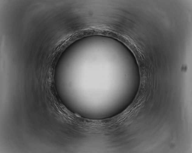 X0000100861110200806200831