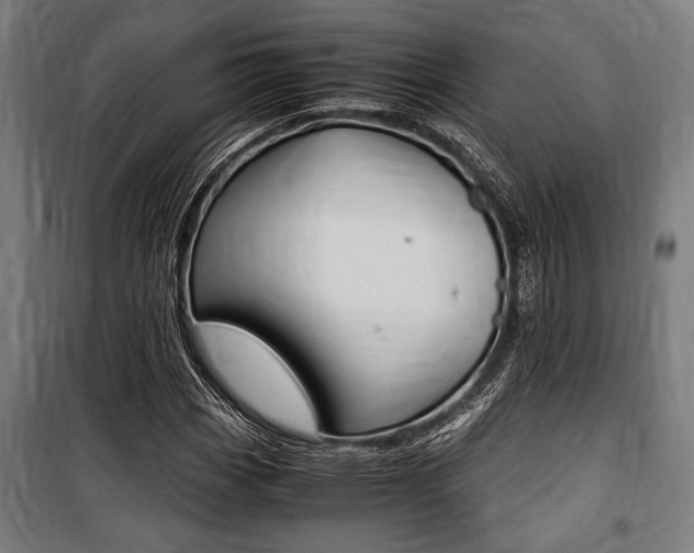 X0000100861113200806200831