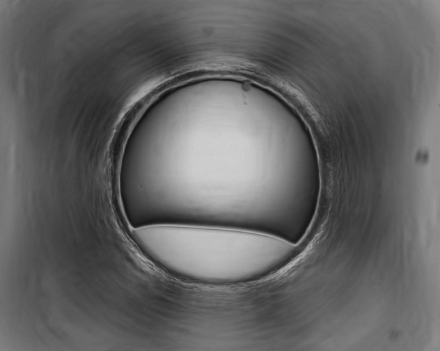 X0000100861114200806200831