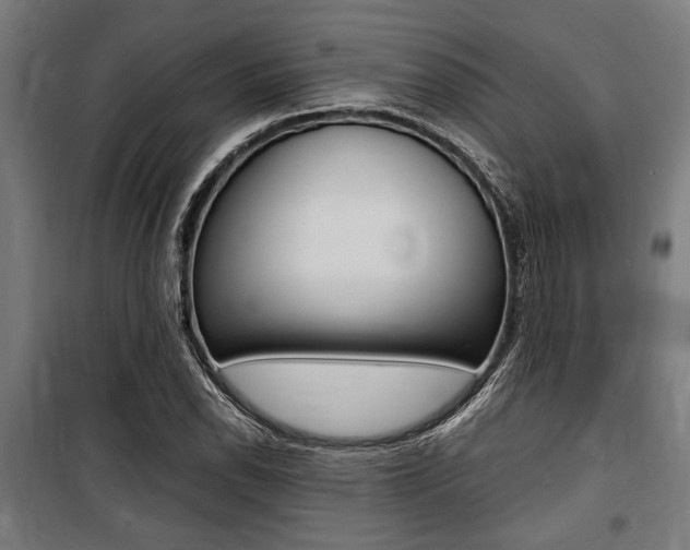 X0000100861118200806200831