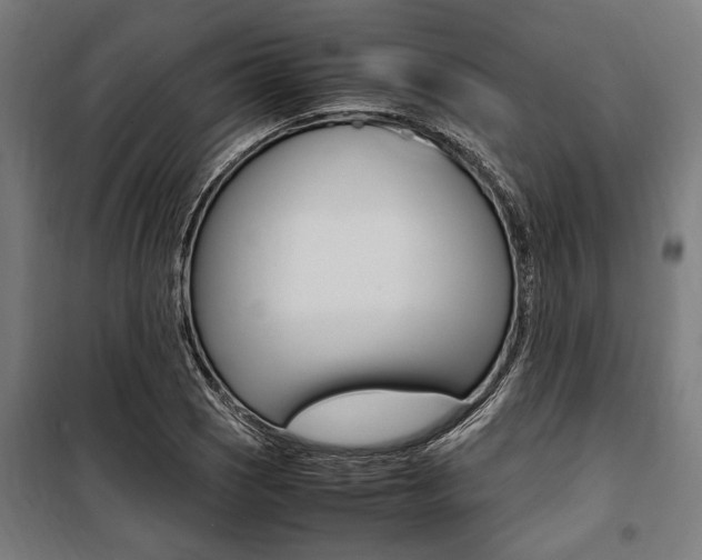 X0000100861121200806200831