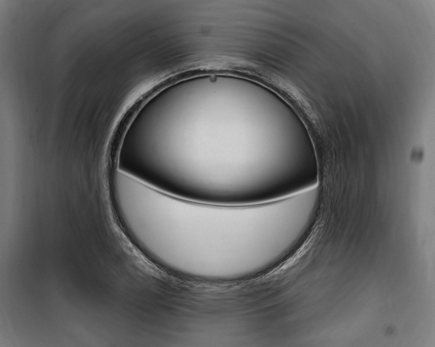 X0000100861122200806200831