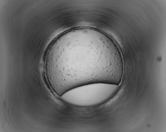 X0000100861125200806200831