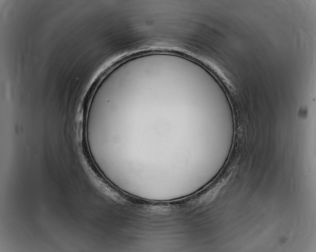 X0000100861126200806200831