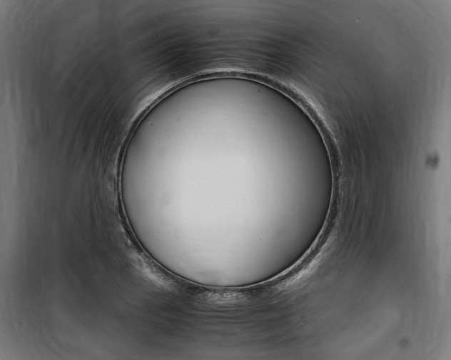 X0000100861129200806200831