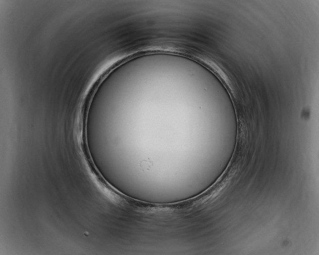 X0000100861131200806200831
