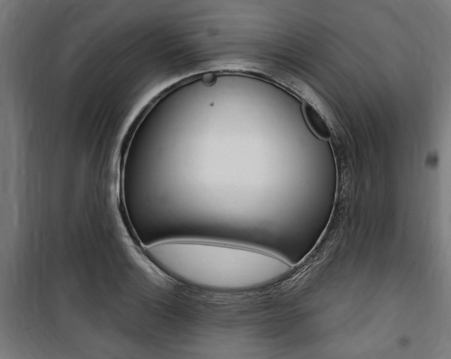 X0000100861132200806200831