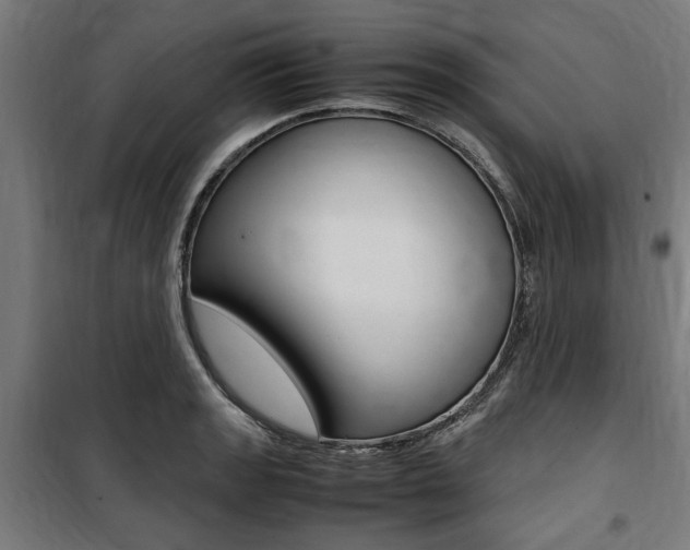 X0000100861133200806200831