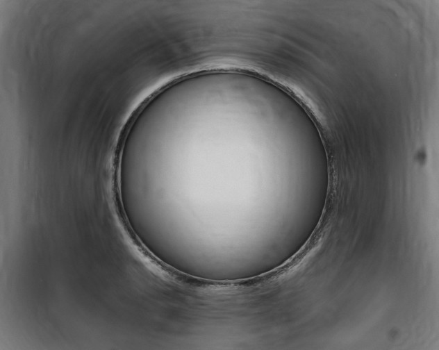 X0000100861134200806200831