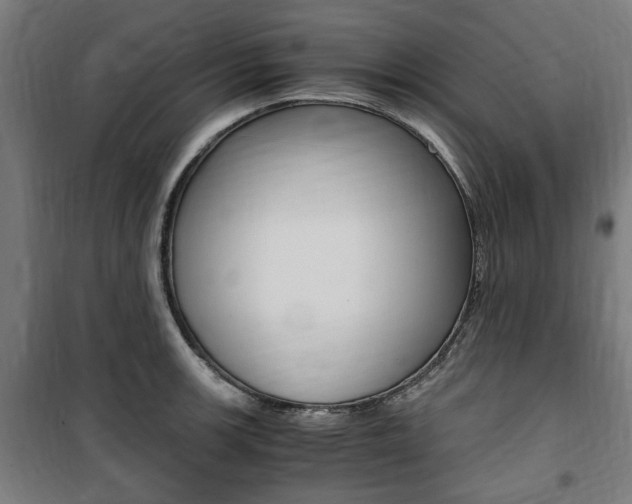 X0000100861139200806200831