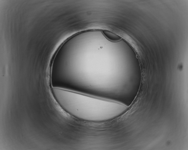 X0000100861140200806200831