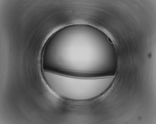 X0000100861142200806200831