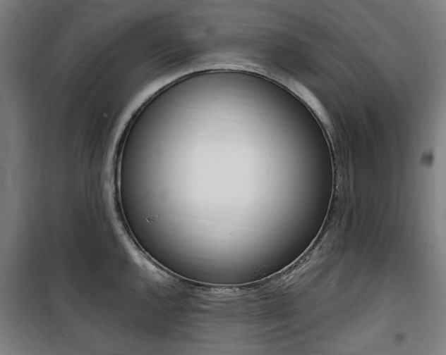 X0000100861144200806200831