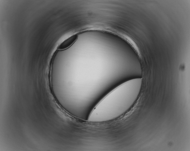 X0000100861146200806200831