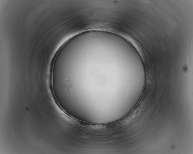 X0000100861147200806200831