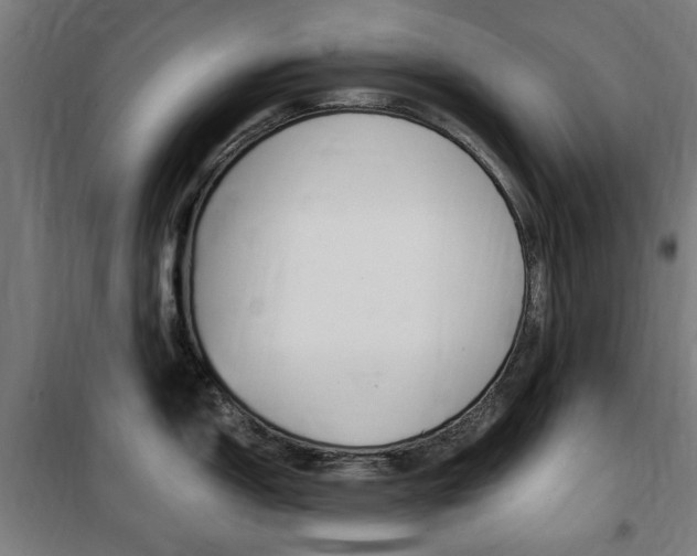X0000100861150200806200831