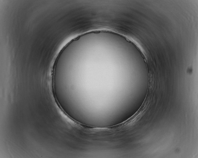 X0000100861151200806200831