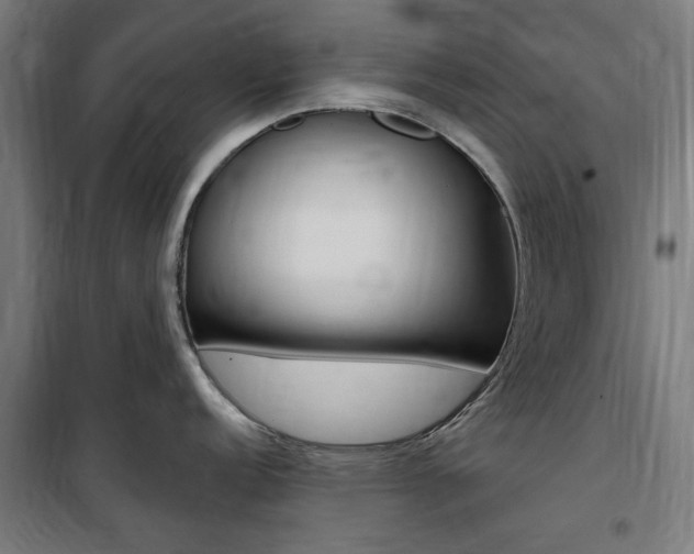 X0000100861152200806200832